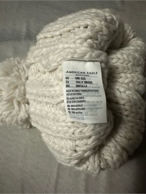 American Eagle Outfitters Off-White Chunky Knit Pom Beanie
